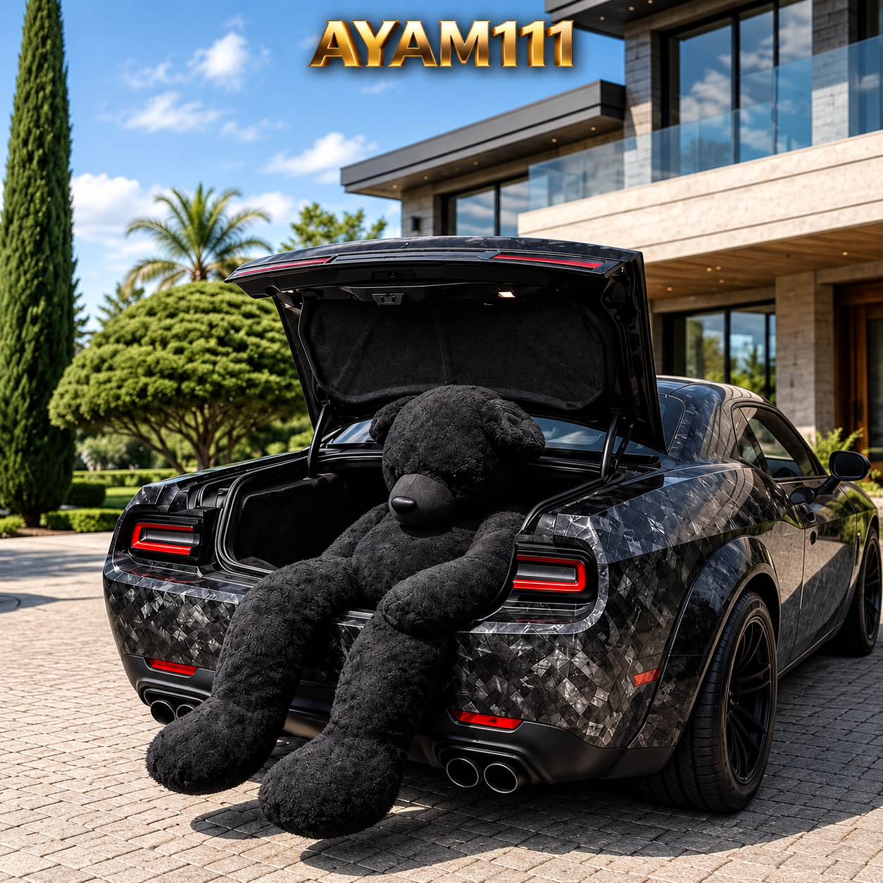 AYAM111