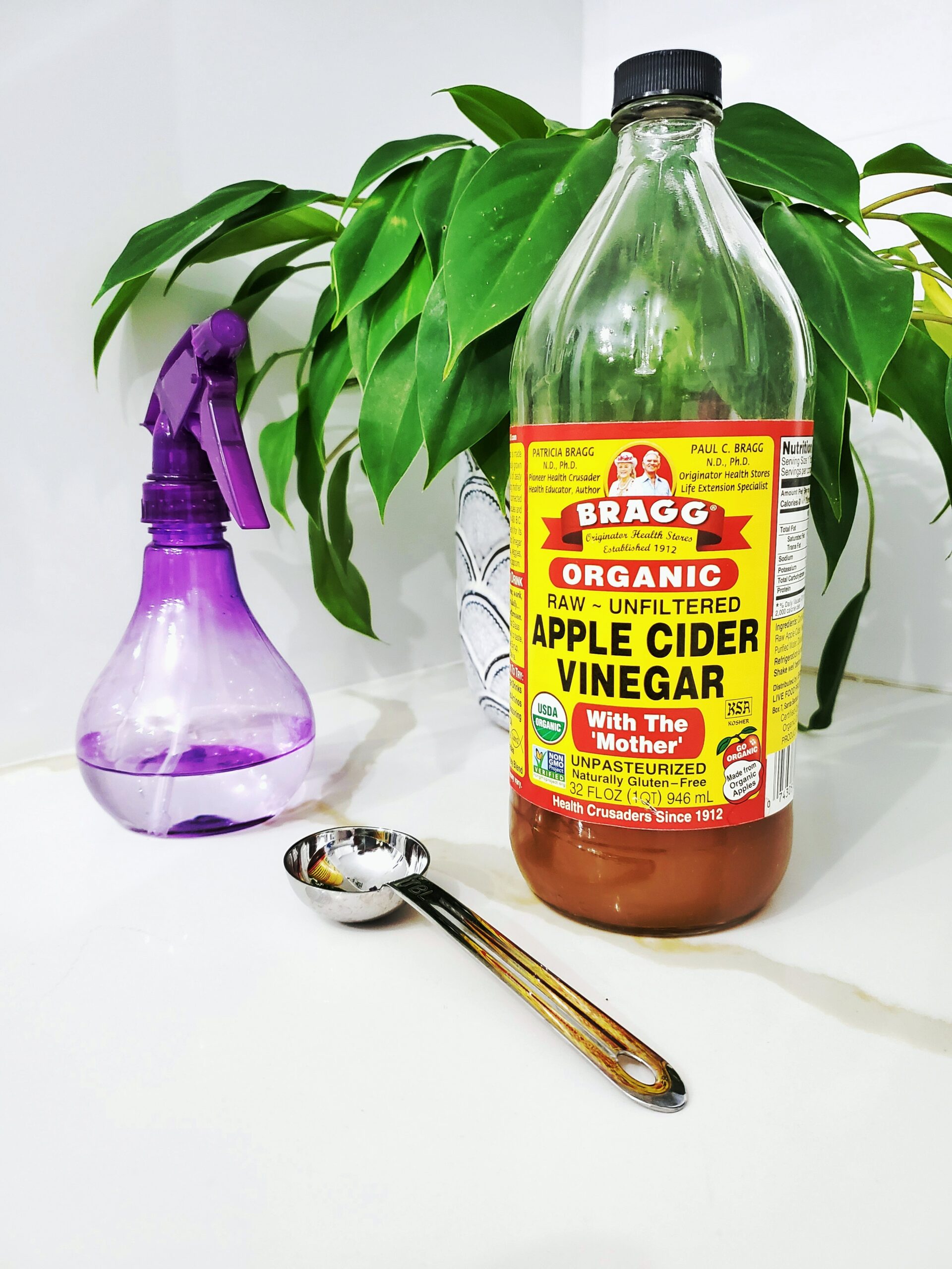 how-to-get-rid-of-houseflies-with-vinegar-deal-with-pests