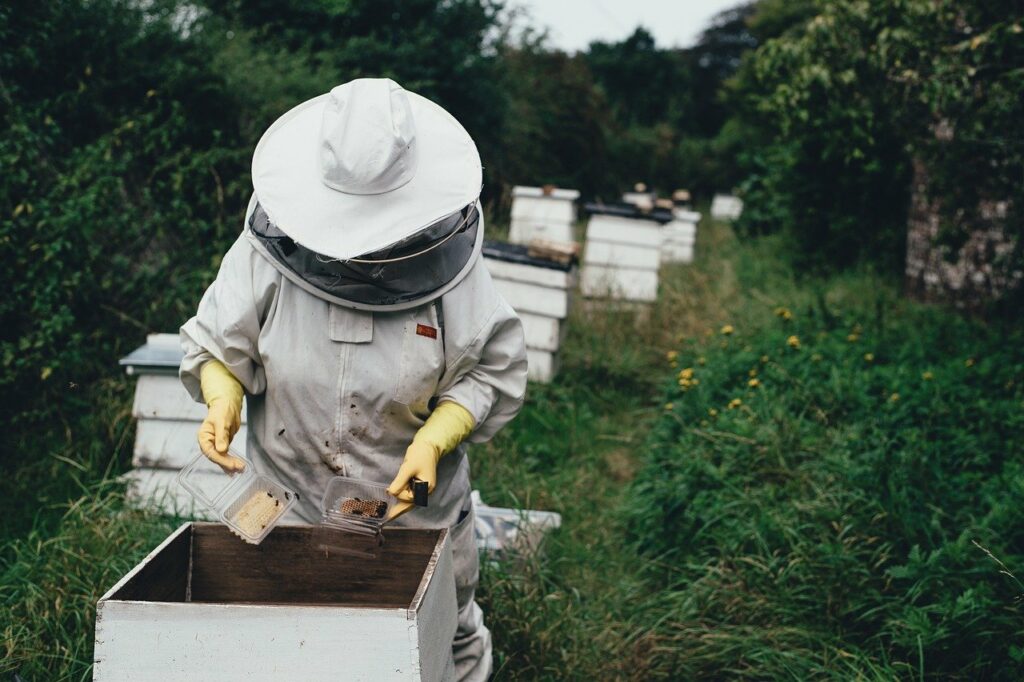 Get rid of bees without killing them by calling a beekeeper.